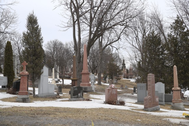 Le cimetière Notre-Dame-des-Neiges suspend enterrements et crémations