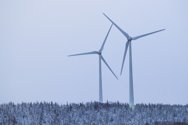 L'environnement, au coeur de la reprise économique ?