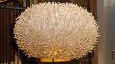 Lampe oursin en bois de coco, 719 $...