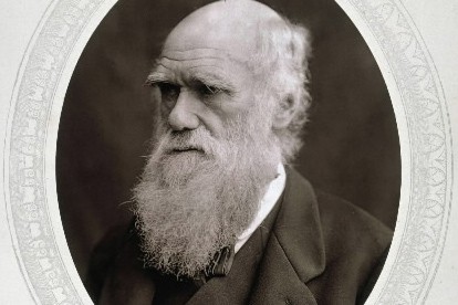 Bicentenaire De Darwin Les Citations Qu Il N A Jamais Dites La Presse