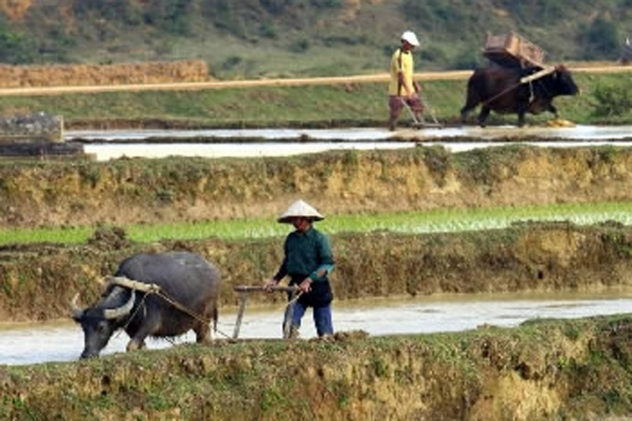 Le Vietnam est truffé de mines | La Presse
