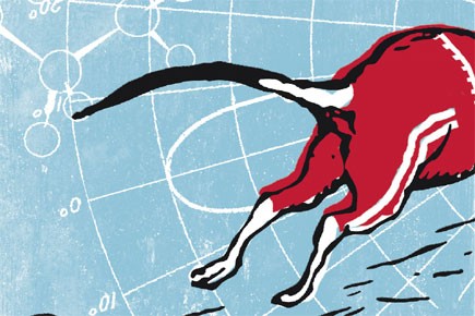 Tous les athlètes olympiques rêvent de médailles... (Illustration David Lambert)