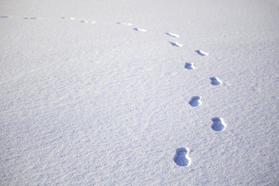 Un Voleur Trahi Par Ses Traces De Pas Dans La Neige La Presse