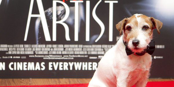 Uggie sur le tapis rouge.... (AP)