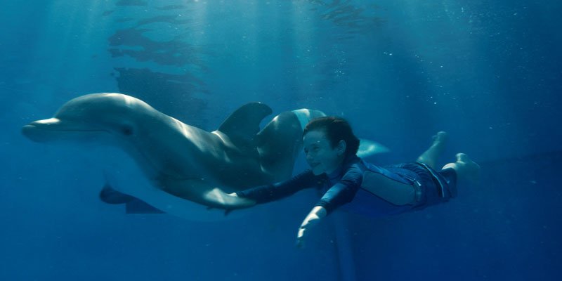 Dolphin Tale s'est emparée de la tête du box-office nord-américain pour son...