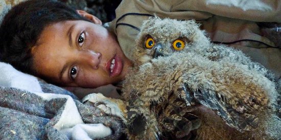 Mokhtar raconte la vie d'un garçon subissant les... (site du Festival international de film de Toronto)