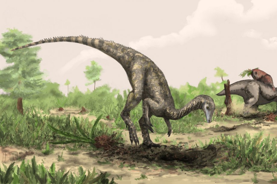  Nyasasaurus parringtoni