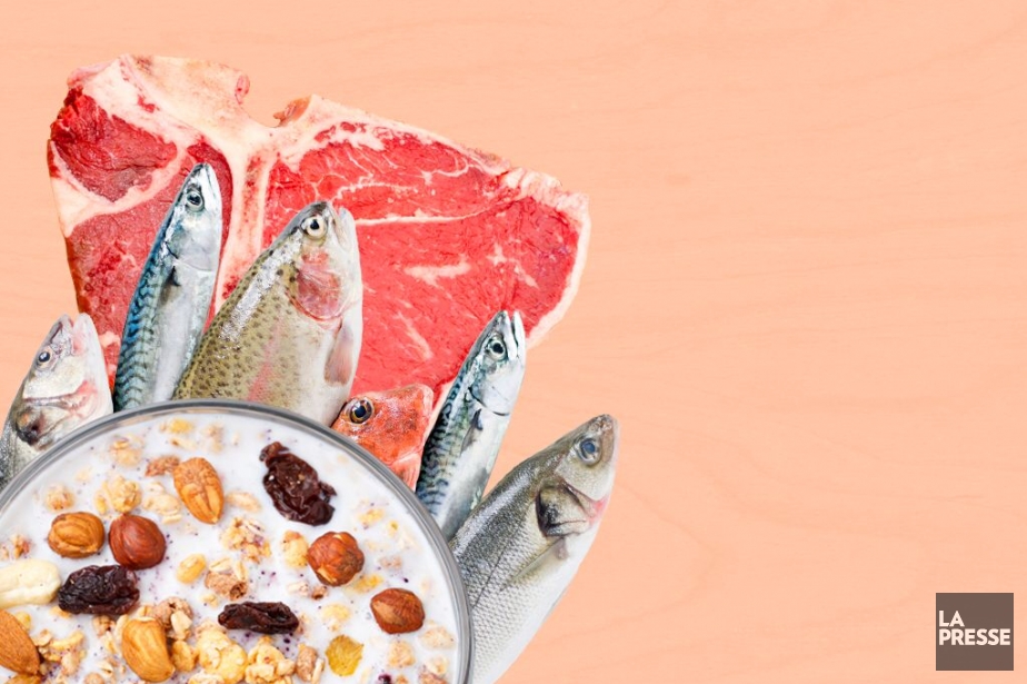 avis sur le régime alimentaire alevere avis sur le régime alimentaire alevere