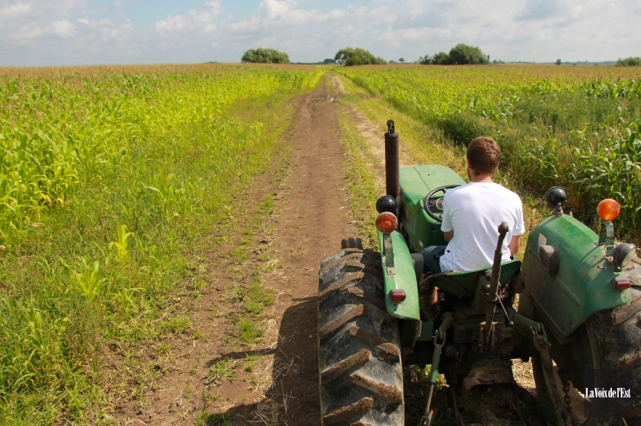 Investissements dans les terres agricoles 17 000 acres en culture  La