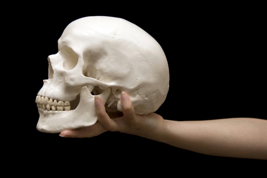 Un crâne humain offert à un magasin d'objets usagés | La Presse