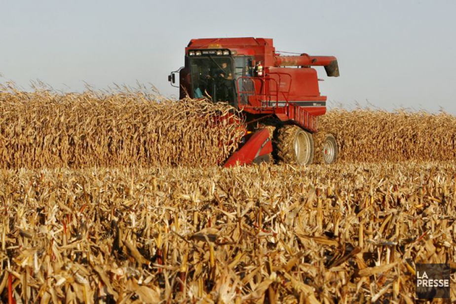 L'UPA veut freiner l'achat de terres agricoles par des sociétés d