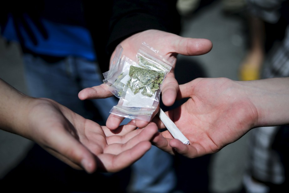 Des interventions sur mesure pour lutter contre le cannabis | La Presse