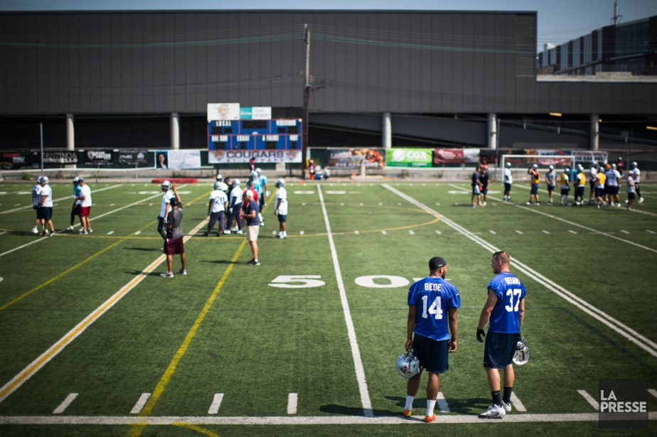 Nouveau Centre D Entrainement La Ville Aidera Les Alouettes La Presse