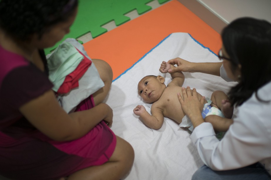 Virus Zika Et Microcephalie Recours Au Bresil Pour Autoriser L Avortement La Presse