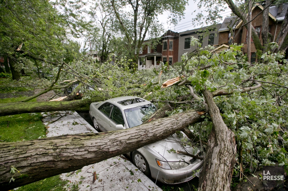 Plusieurs voitures endommagées sur la rue Draper.... (Photo David Boily, La Presse)