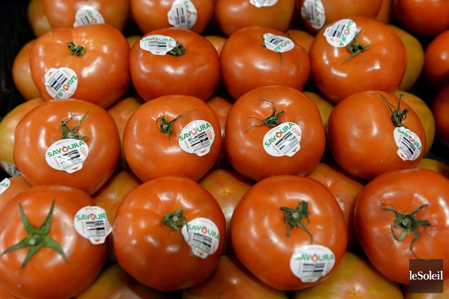 1559808-photo-erick-labbe-soleil-tomates.jpg