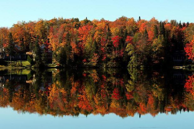 Suivre Les Couleurs D Automne A La Trace La Presse