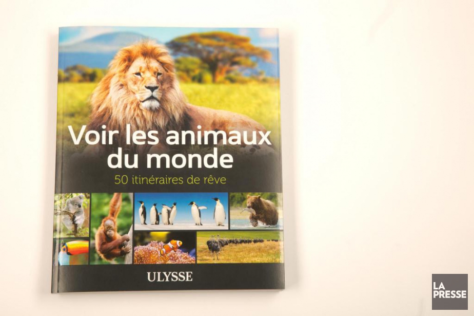 Voir Les Animaux Du Monde Itinéraires De Tous Poils