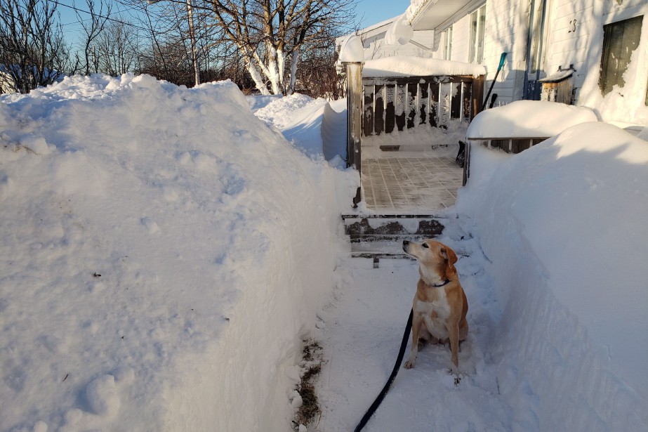 La Ville De Gander Ensevelie Sous 58 Centimetres De Neige La Presse