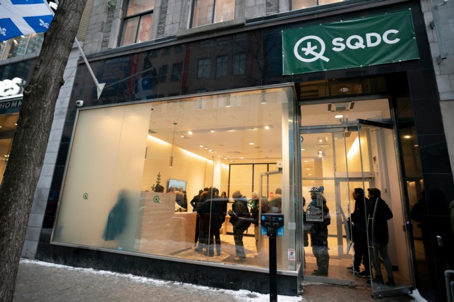 Cannabis La Sqdc Dit Accaparer 35 Des Ventes De Cannabis Au Pays La Presse