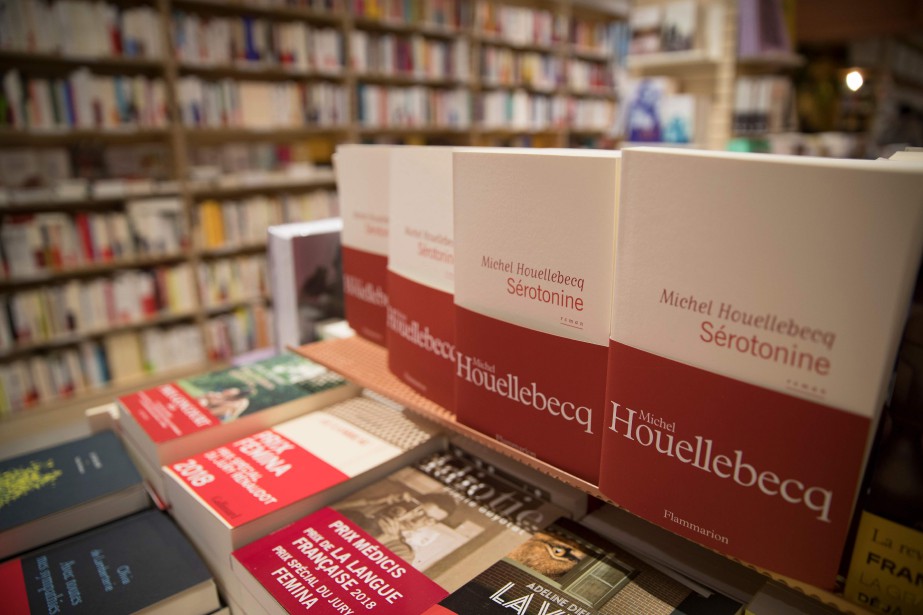 France: les ventes de livres au plus bas en 2018 | La Presse