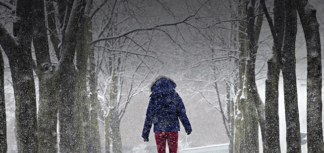La région de Montréal sous la neige